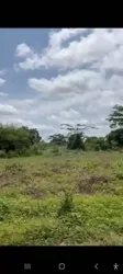 Terrain Bien Situé à Yamoussoukro