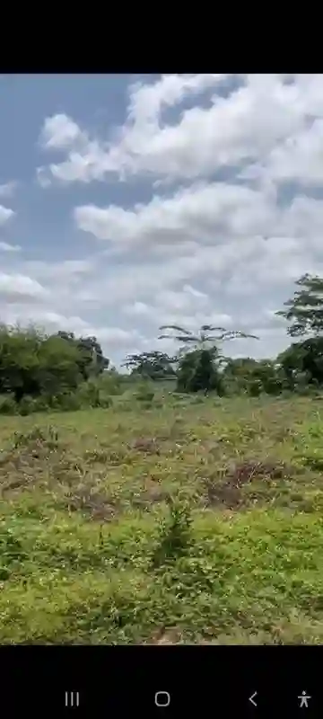 Terrain Bien Situé à Yamoussoukro