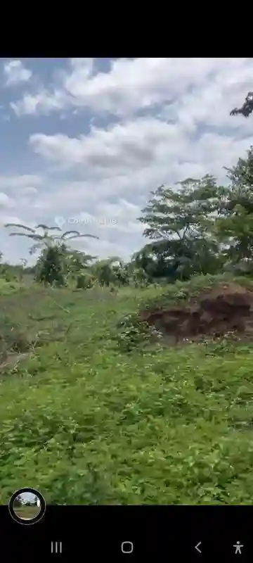 Terrain Bien Situé à Yamoussoukro - Vue 1