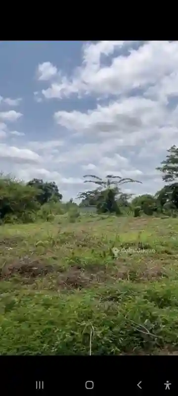 Terrain Bien Situé à Yamoussoukro - Vue 2
