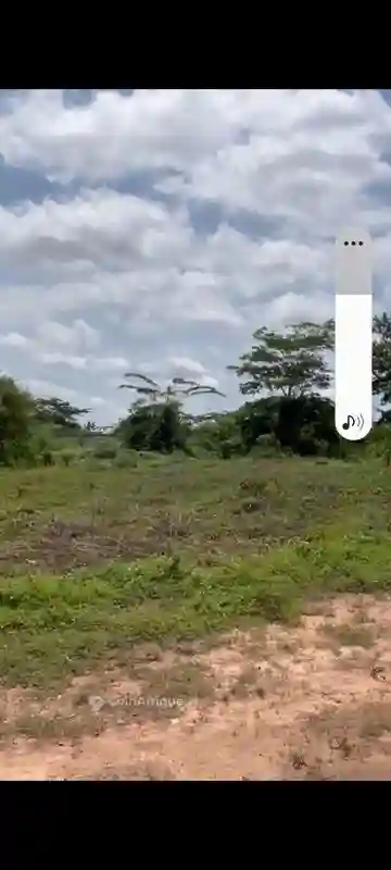 Terrain Bien Situé à Yamoussoukro - Vue 4