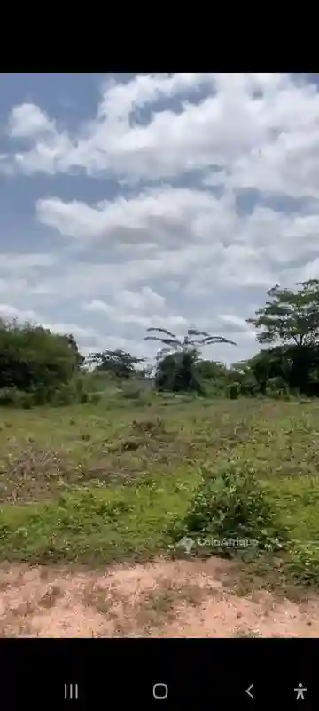 Terrain Bien Situé à Yamoussoukro - Vue 5