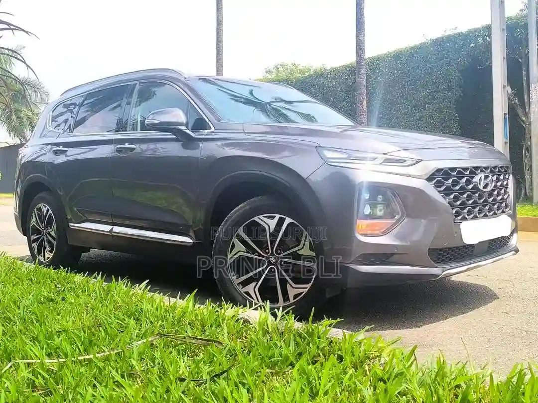 Hyundai Santa Fe 2020 Gris - Vue 1