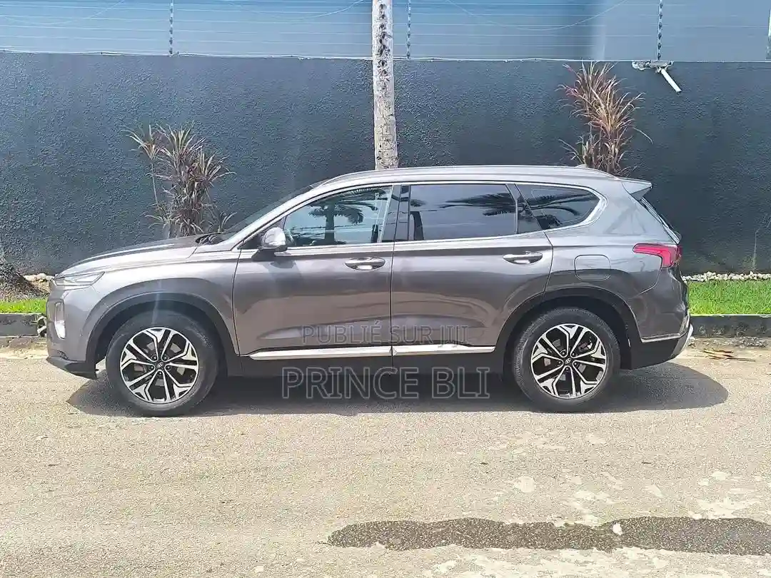 Hyundai Santa Fe 2020 Gris - Vue 2