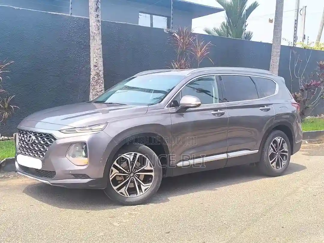 Hyundai Santa Fe 2020 Gris - Vue 5