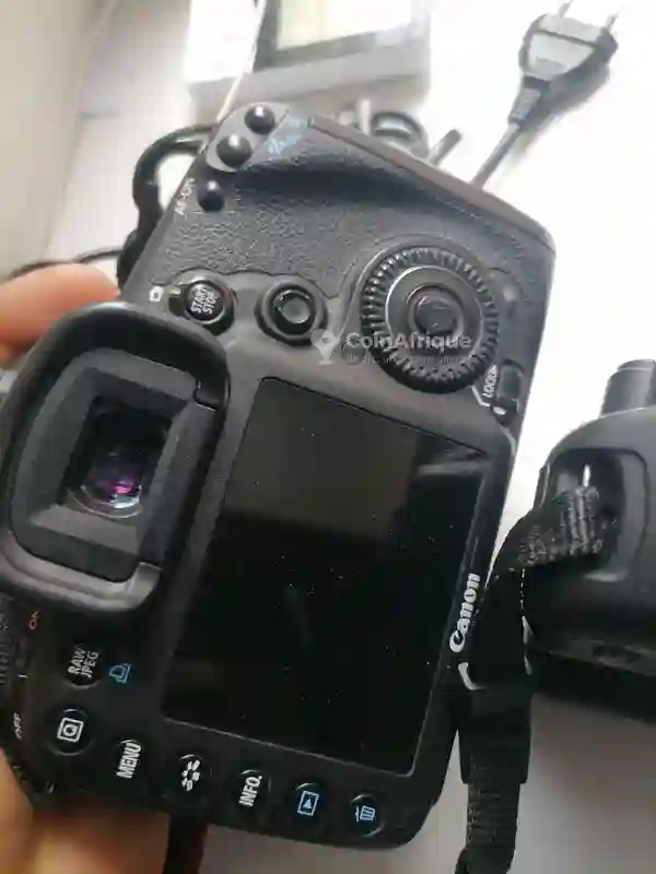 Canon EOS 7D Mark 1+ Objectif 75-300 mm