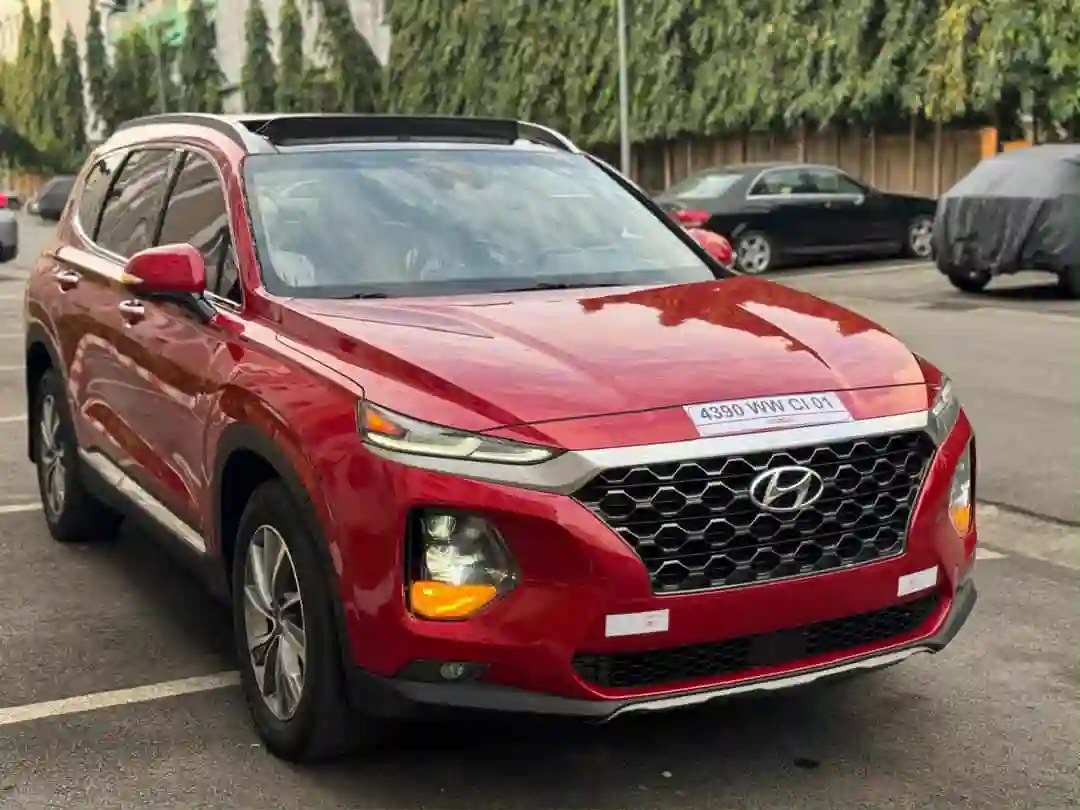 Hyundai Santafe en vente  - Vue 1