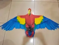 Vente de Cerf-volant Pour Enfant