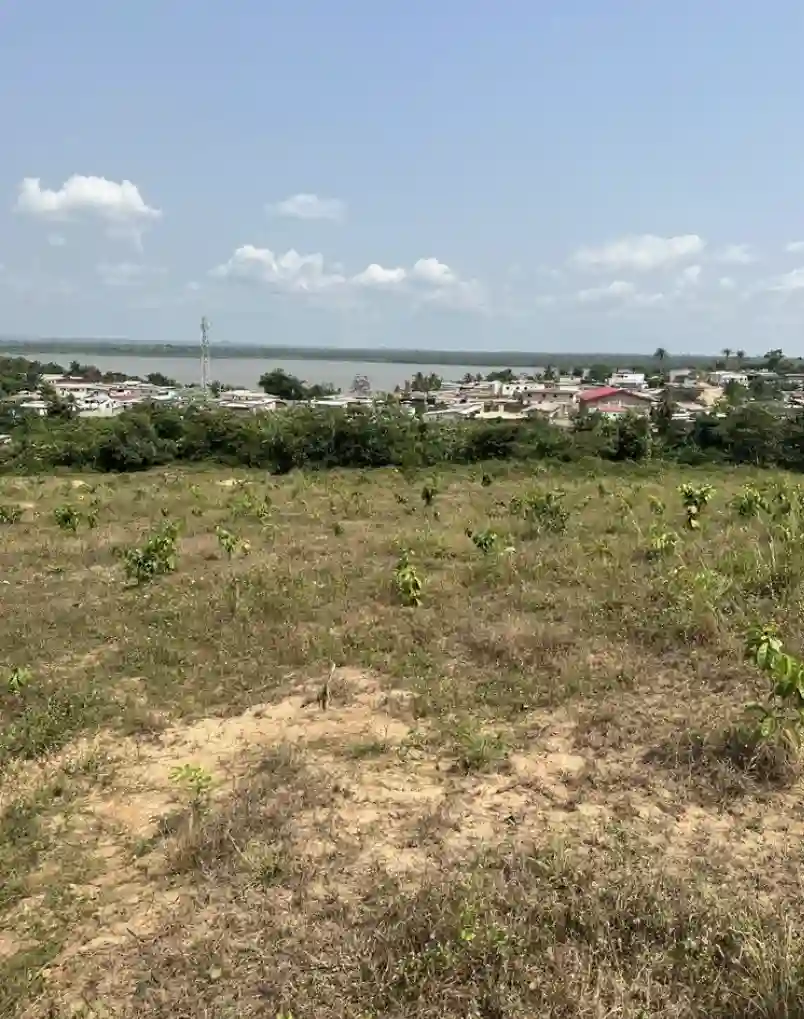 Des terrains à vendre à Bingerville avec ACD  - Vue 2