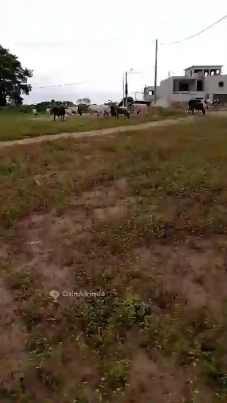 Des terrains à vendre à Bingerville avec ACD  - Vue 3