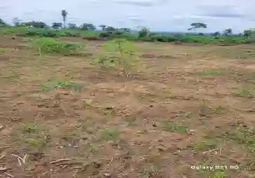 Des terrains à vendre à Bingerville avec ACD  - Vue 4