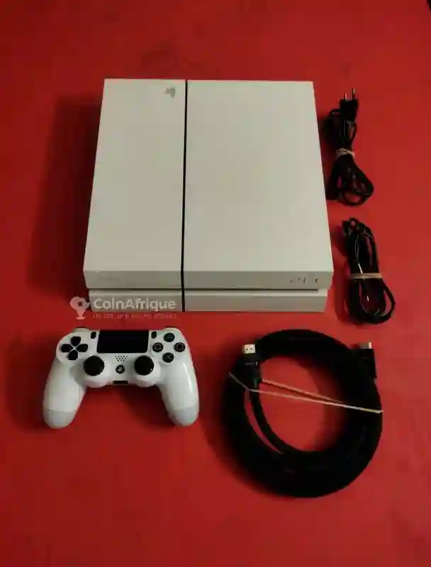 Playstation 4 Standard - Vue 1