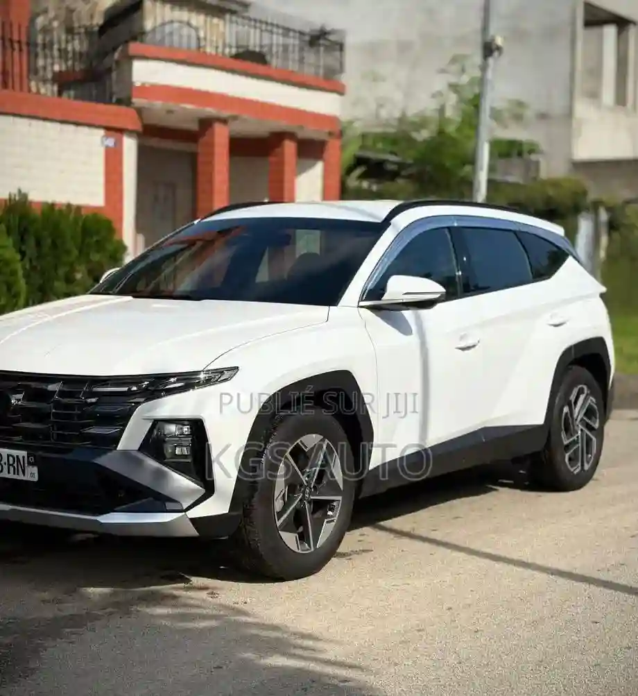 Hyundai Tucson Limited 2024 Blanc - Vue 6