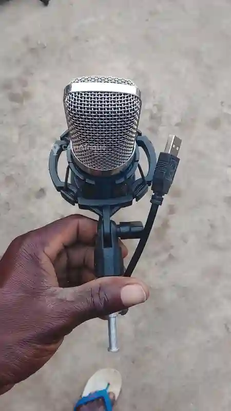 Micro Studio Professionnelle - Vue 2