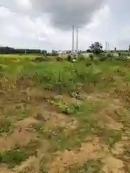 TERRAINS À VENDRE À BINGERVILLE 