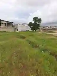 TERRAINS À VENDRE À BINGERVILLE  - Vue 2