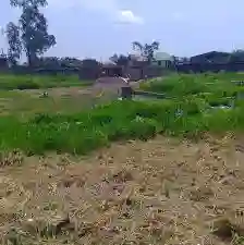 TERRAINS À VENDRE À BINGERVILLE  - Vue 3