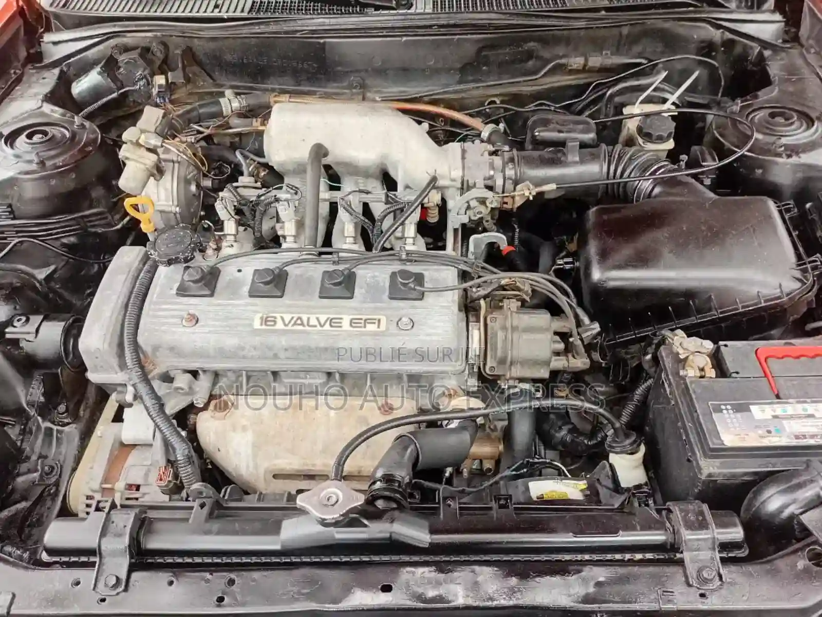 Toyota Corolla 2002 Orange - Vue 8