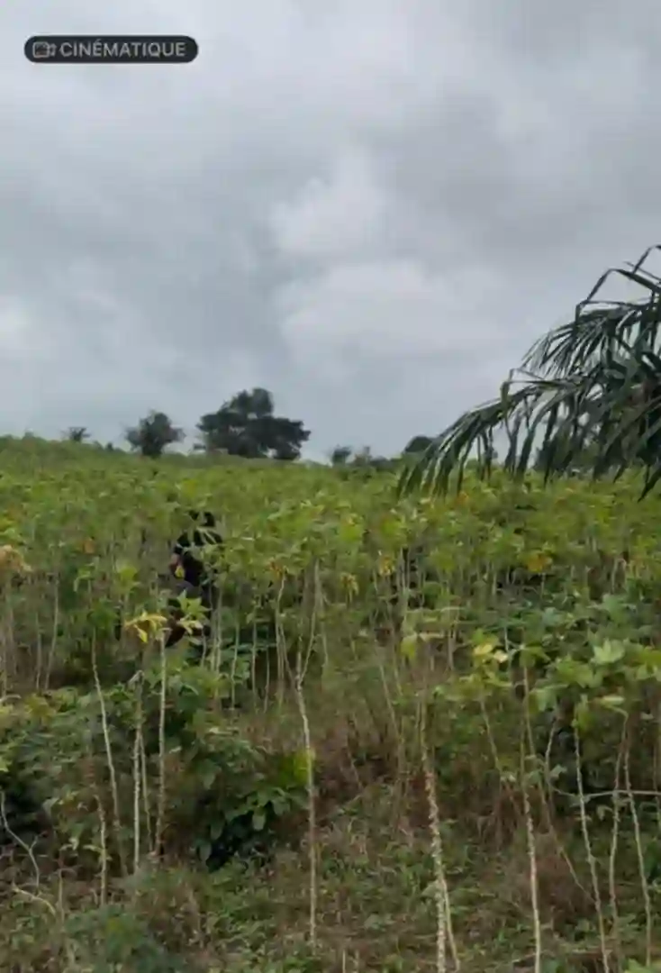 Des terrains en vente à Songon  - Vue 2