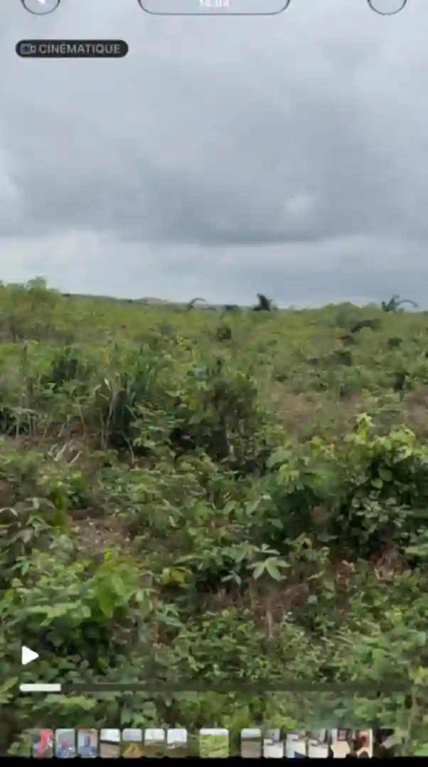 Des terrains en vente à Songon  - Vue 3