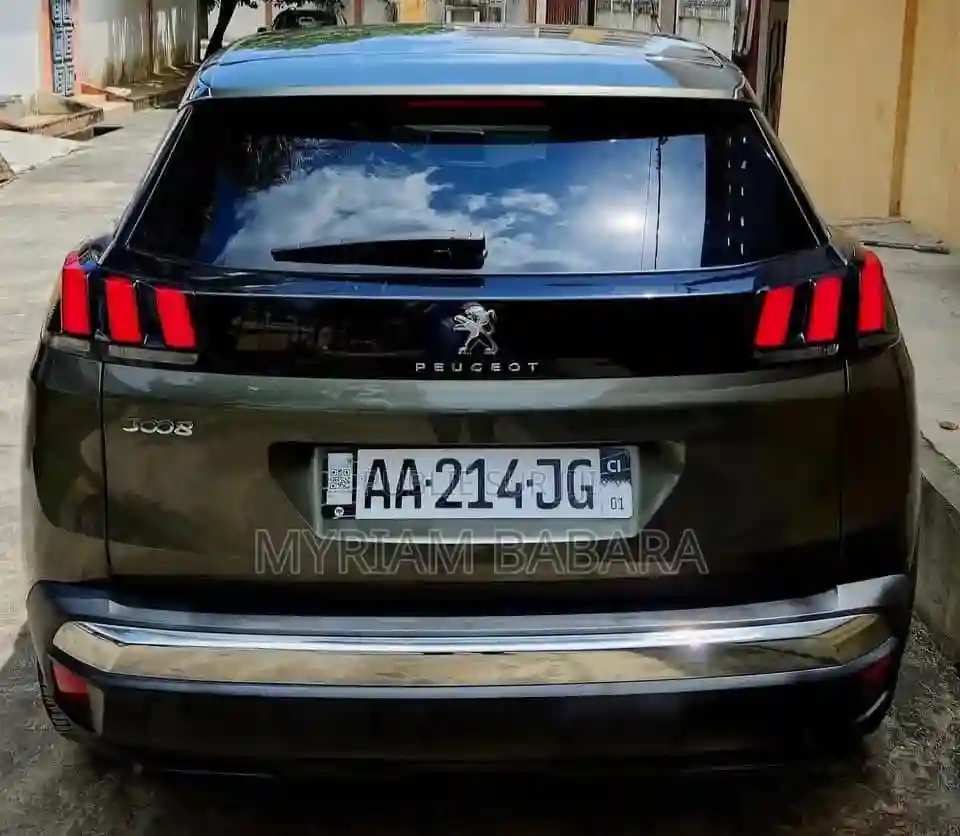 Peugeot 3008 2020 Gris - Vue 4