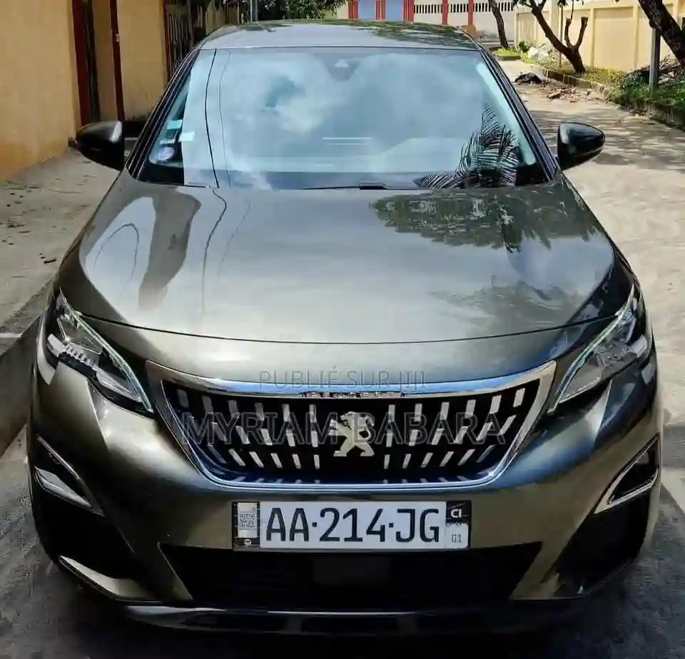 Peugeot 3008 2020 Gris - Vue 5