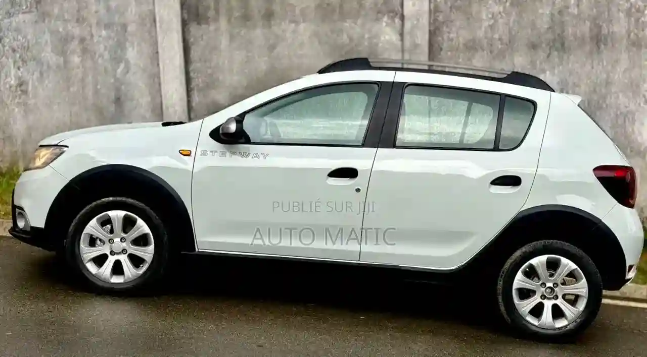 Renault Duster 2018 Blanc - Vue 6