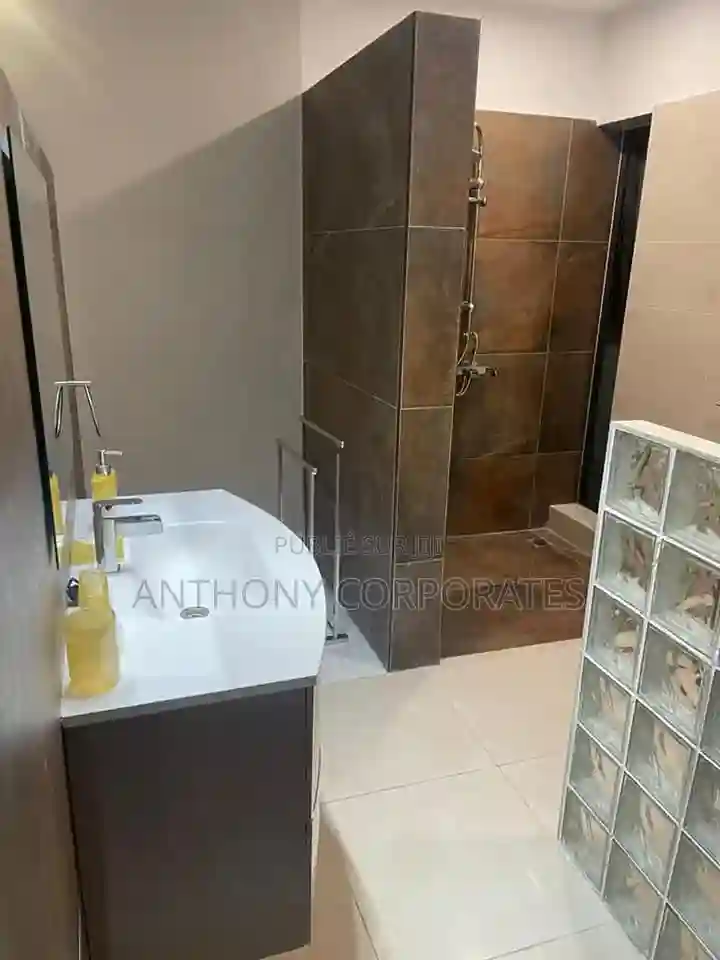 Furnished 1chbre Appartement Dans Anthony Treichville à Louer - Vue 13
