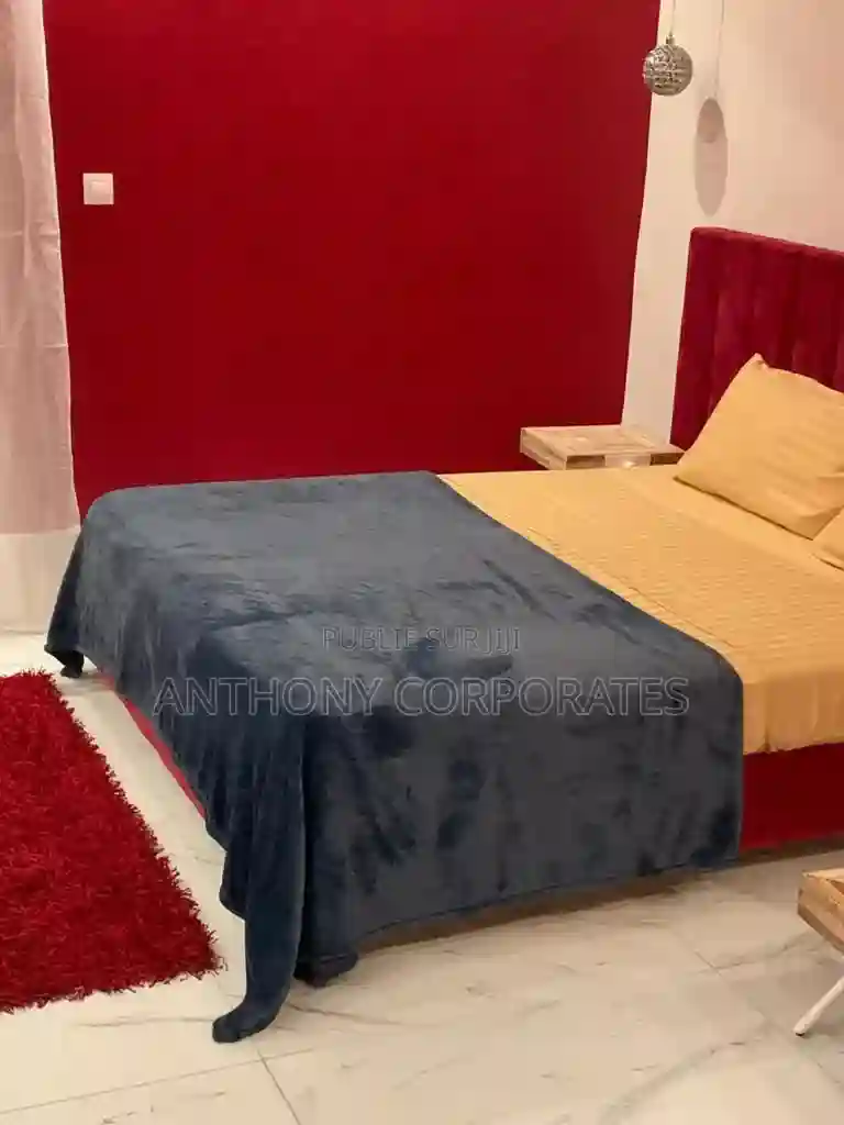 Furnished 1chbre Appartement Dans Anthony Treichville à Louer - Vue 14