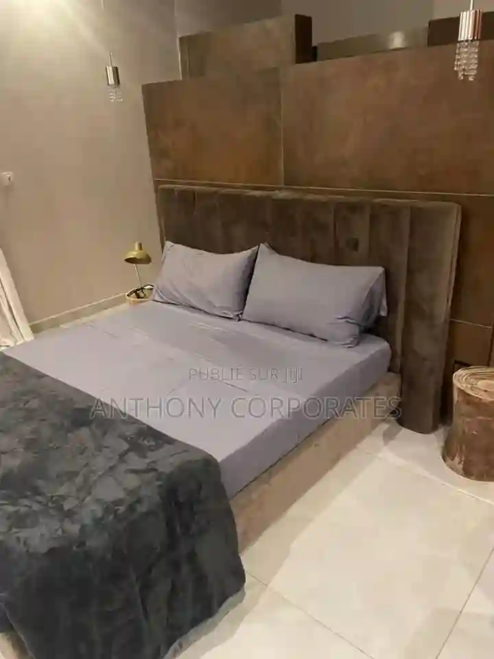 Furnished 1chbre Appartement Dans Anthony Treichville à Louer - Vue 4