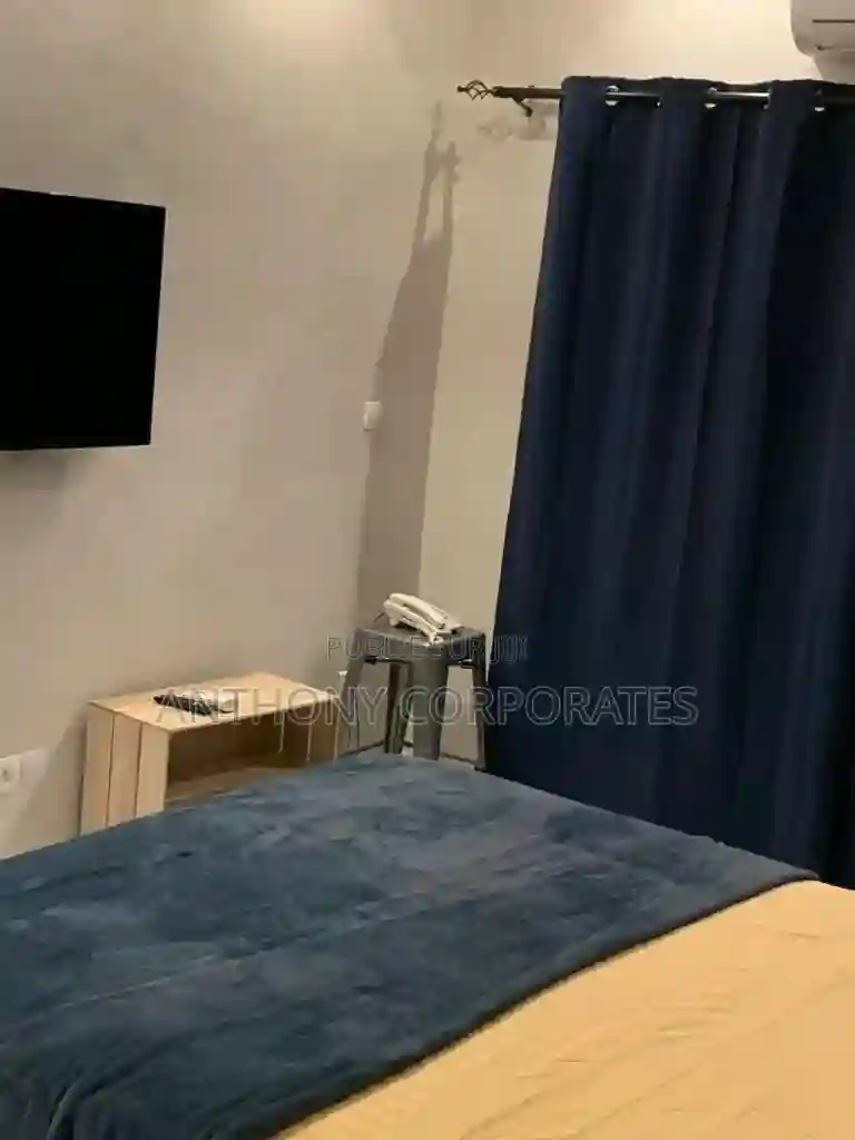 Furnished 1chbre Appartement Dans Anthony Treichville à Louer - Vue 6