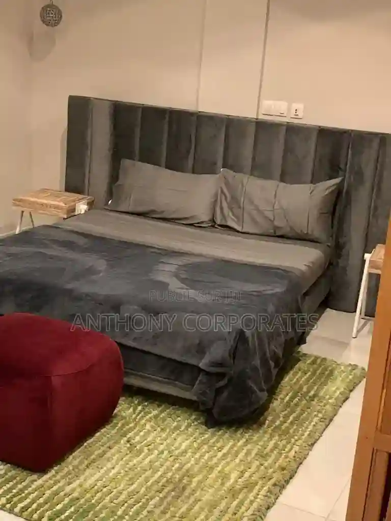 Furnished 1chbre Appartement Dans Anthony Treichville à Louer - Vue 8