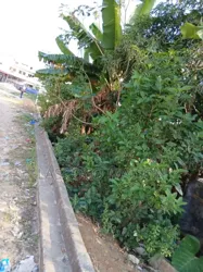 Terrain en Vente Ou en Baille