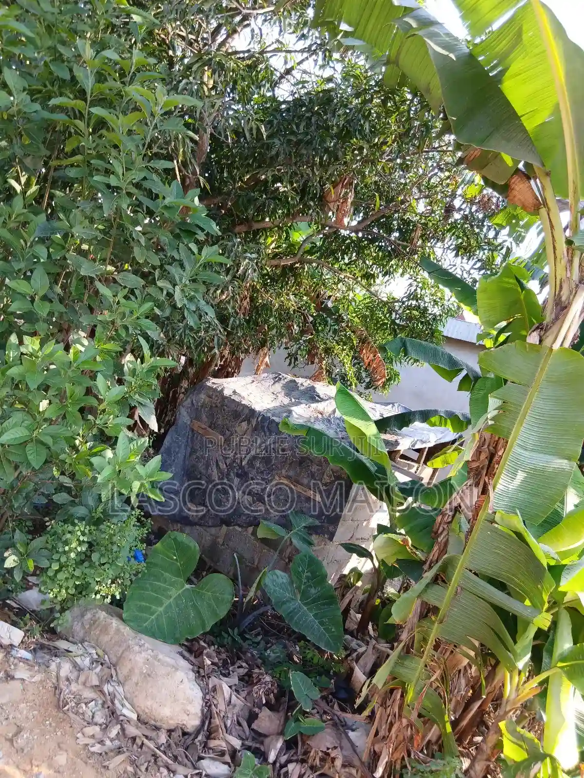 Terrain en Vente Ou en Baille - Vue 2