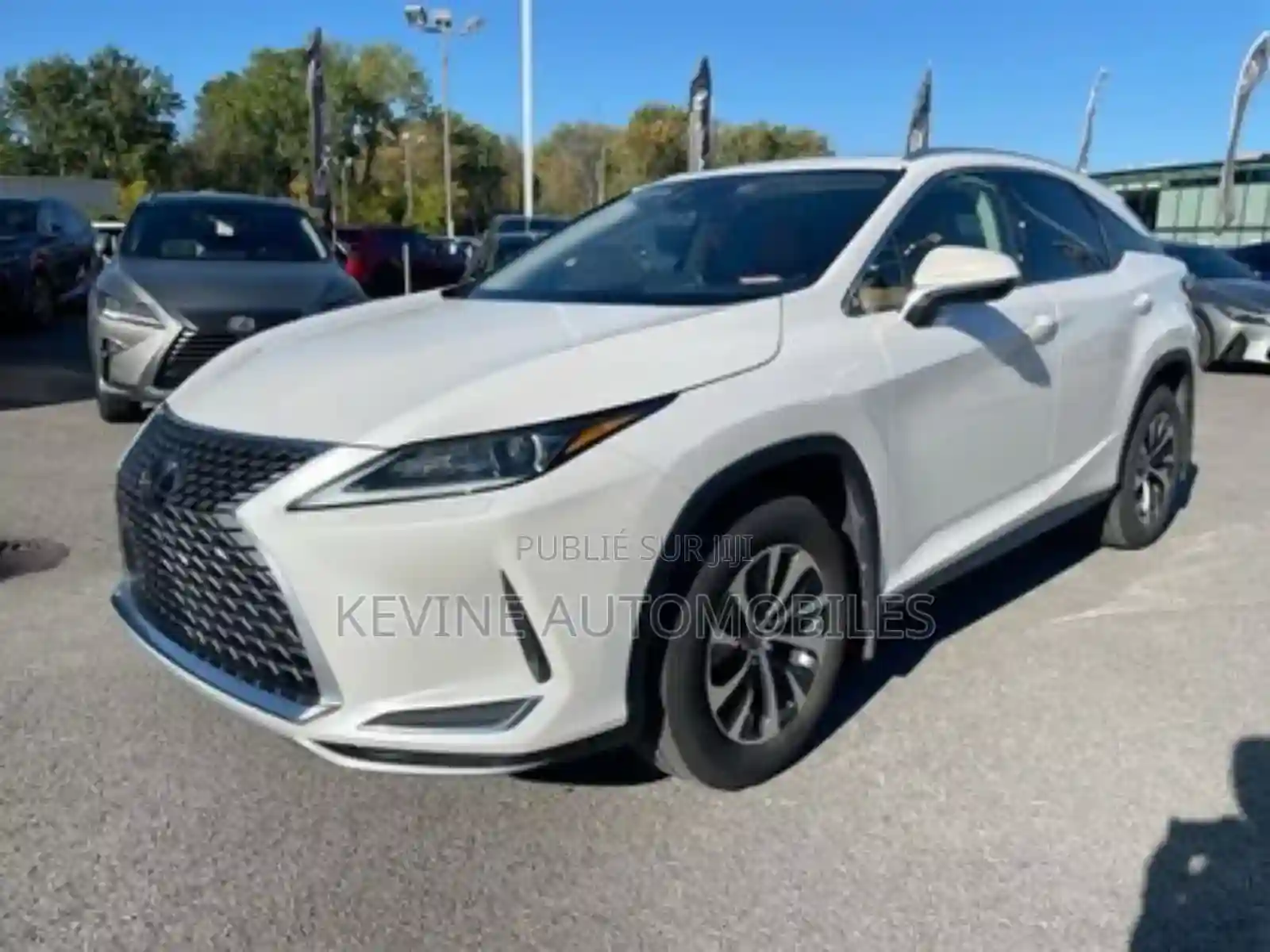 Lexus RX 300 2022 Blanc - Vue 9