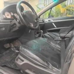 Peugeot 407 2005 Gris