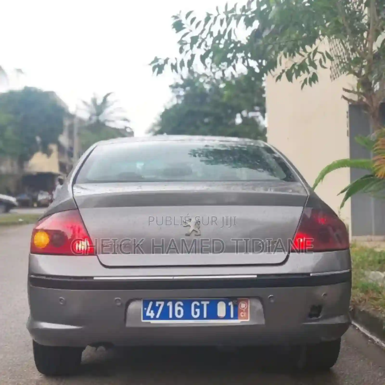Peugeot 407 2005 Gris - Vue 1