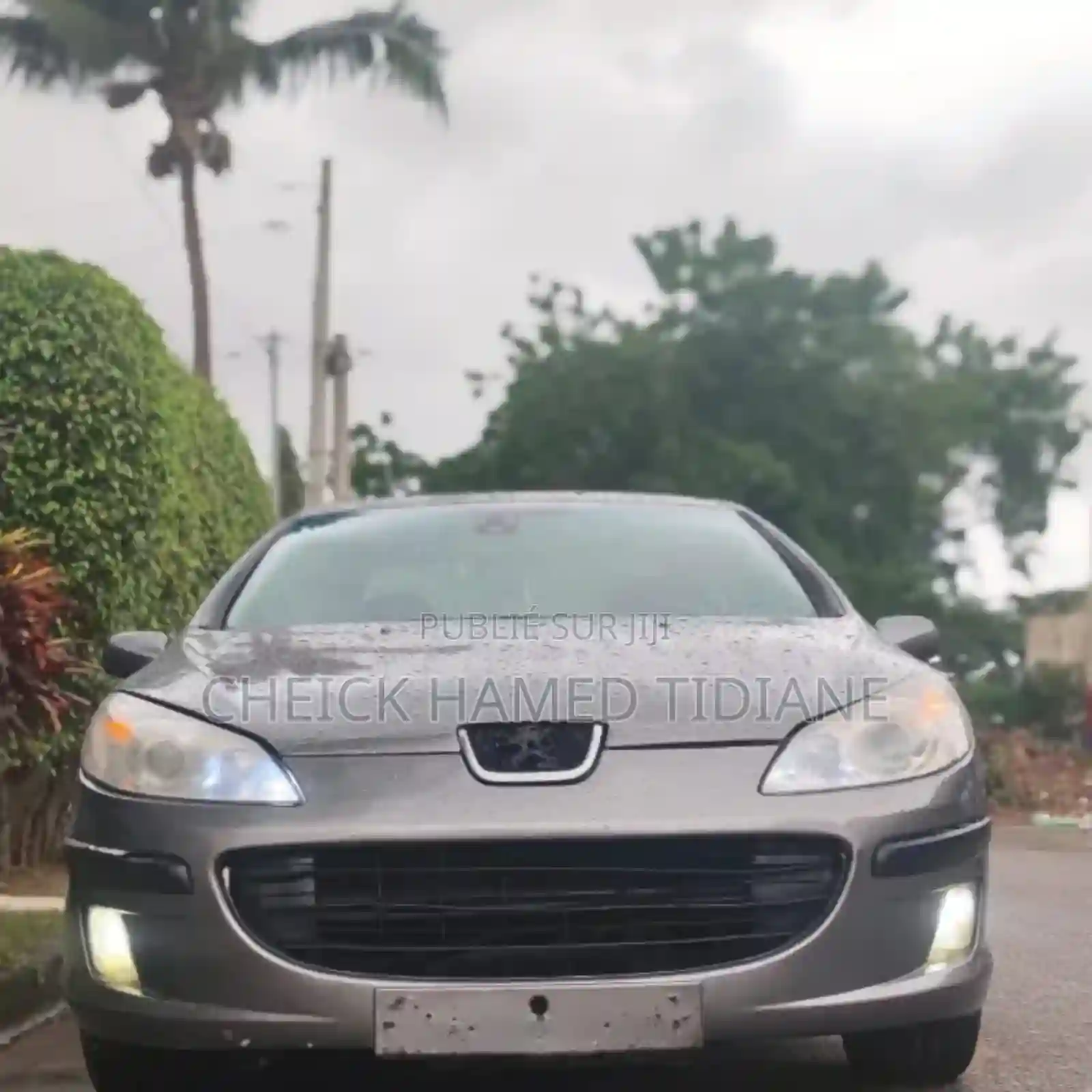 Peugeot 407 2005 Gris - Vue 2