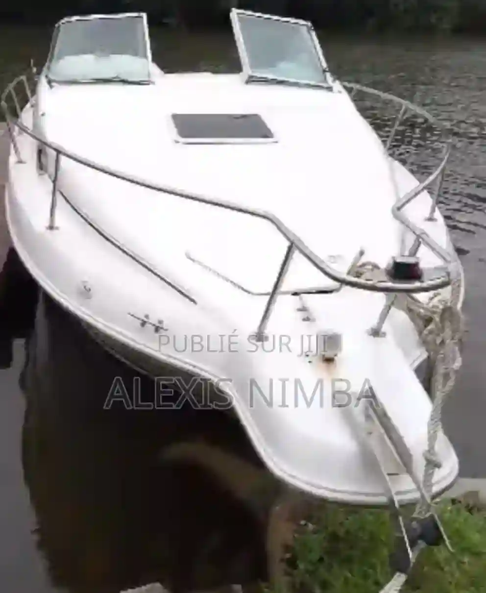 Bateau 250 Sundancer Vip Vip en Vente - Vue 1