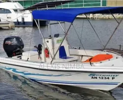 Bateau Moteur Mercury 115cv 4 Temps en Vente