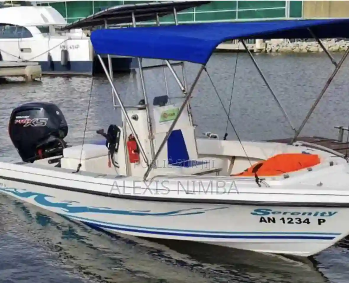 Bateau Moteur Mercury 115cv 4 Temps en Vente