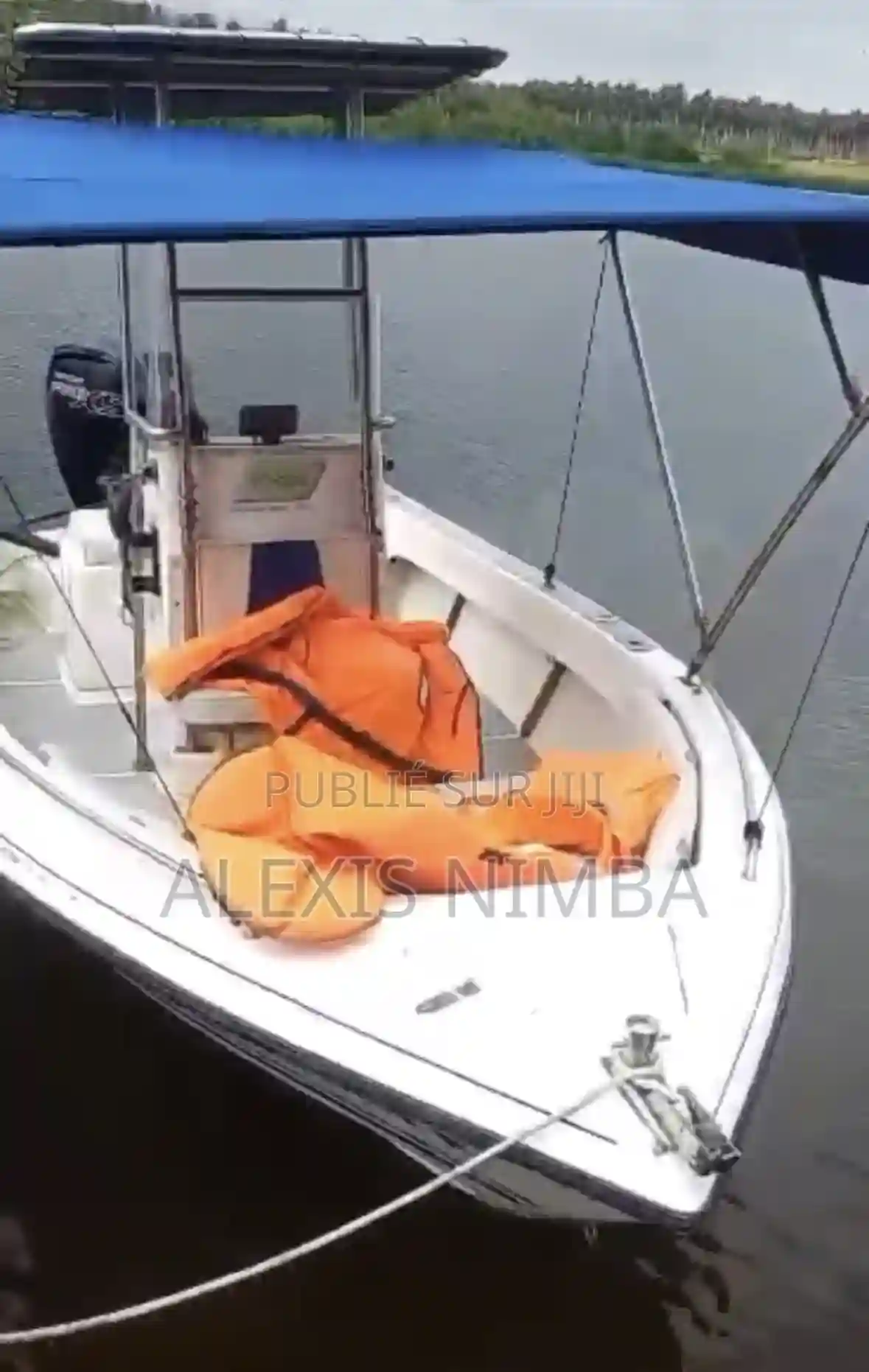 Bateau Moteur Mercury 115cv 4 Temps en Vente - Vue 2