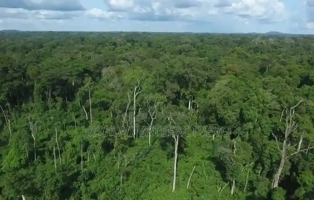100 Hectares en Location Sur L'autoroute Du Nord - Vue 1
