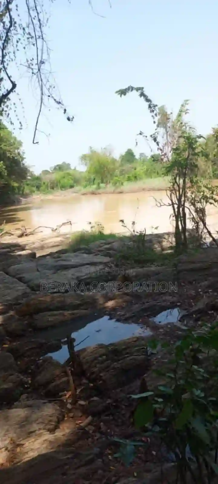 956 Hectares en Vente a 18km DE Dimbokro