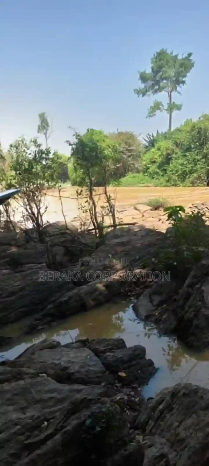 956 Hectares en Vente a 18km DE Dimbokro - Vue 1