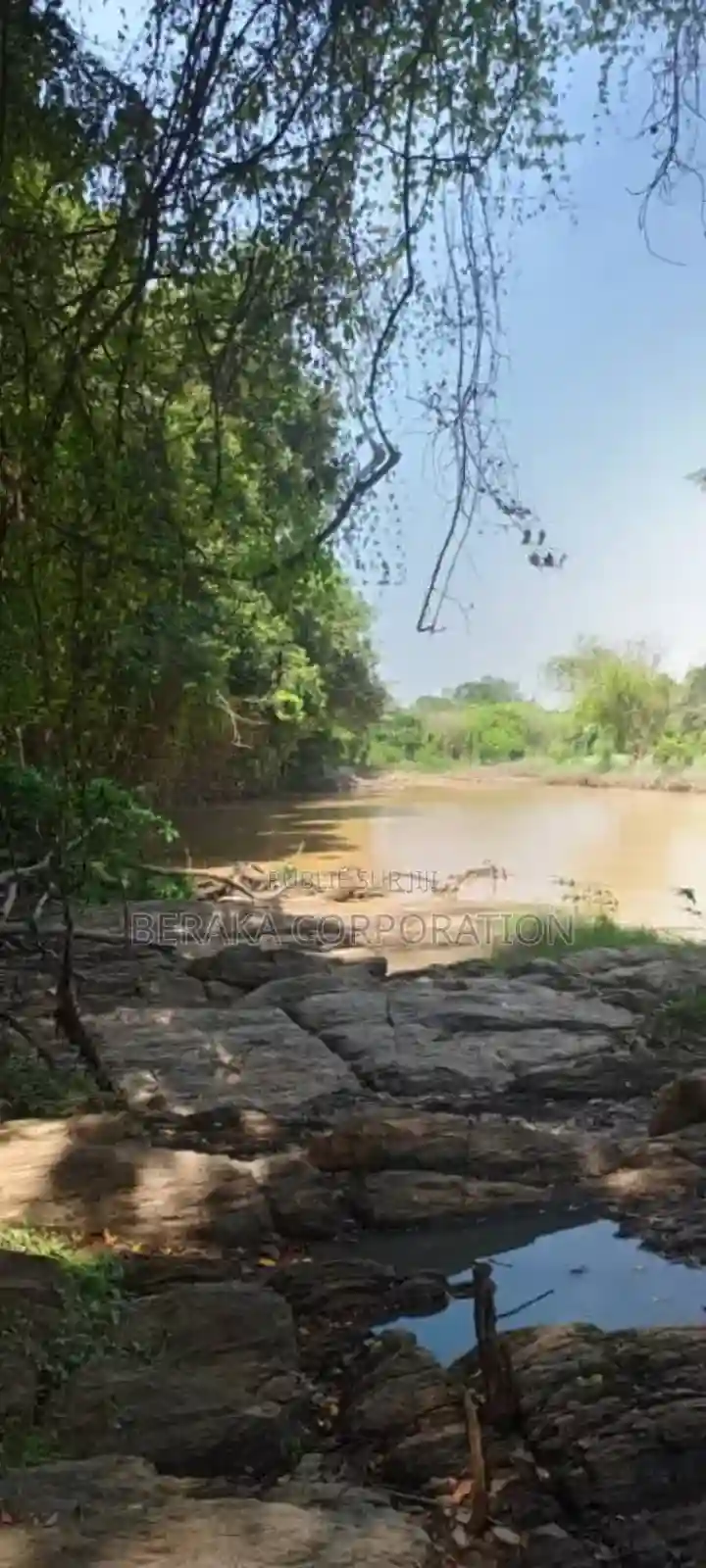 956 Hectares en Vente a 18km DE Dimbokro - Vue 2