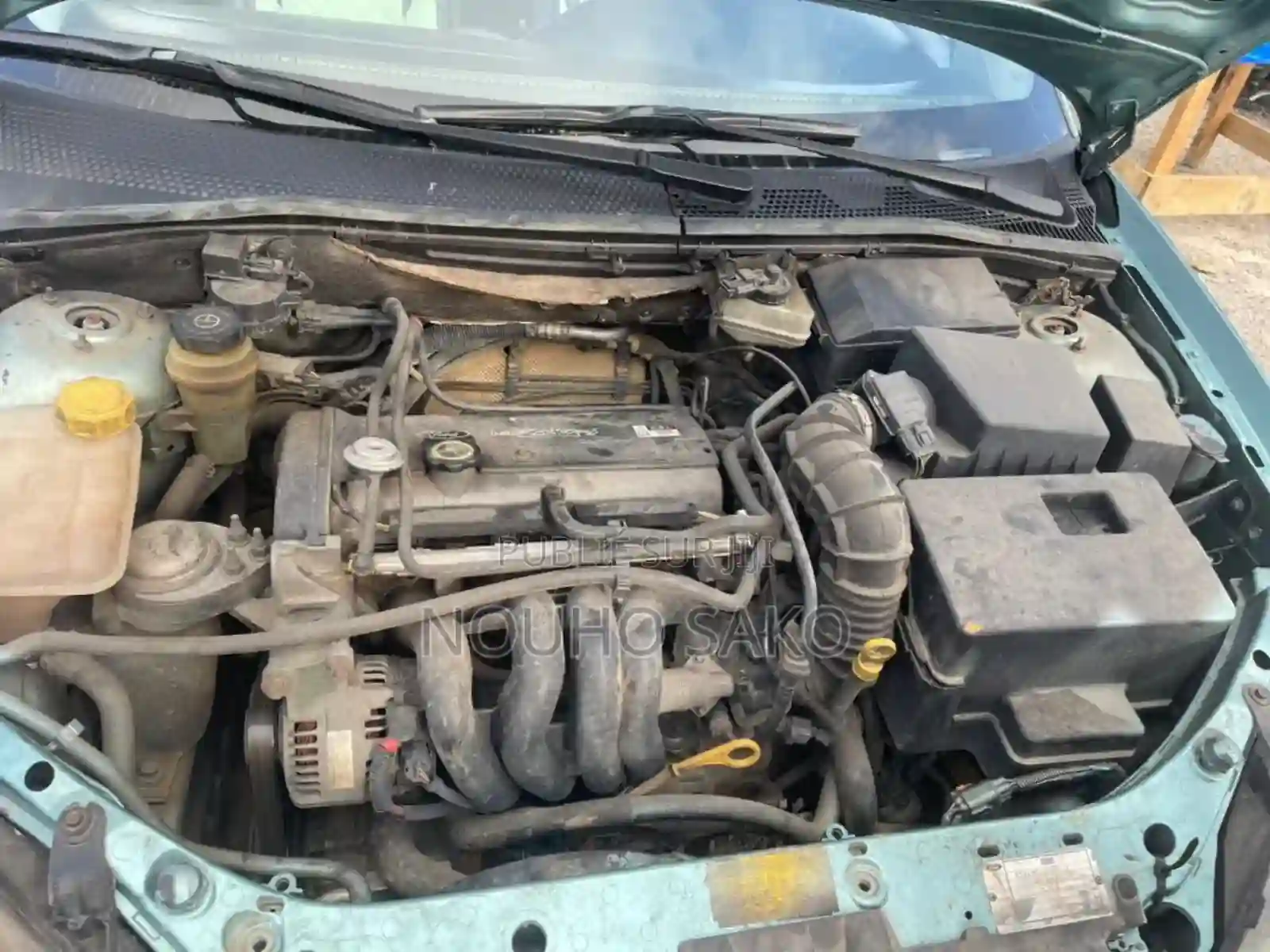 Ford Focus 2002 Vert