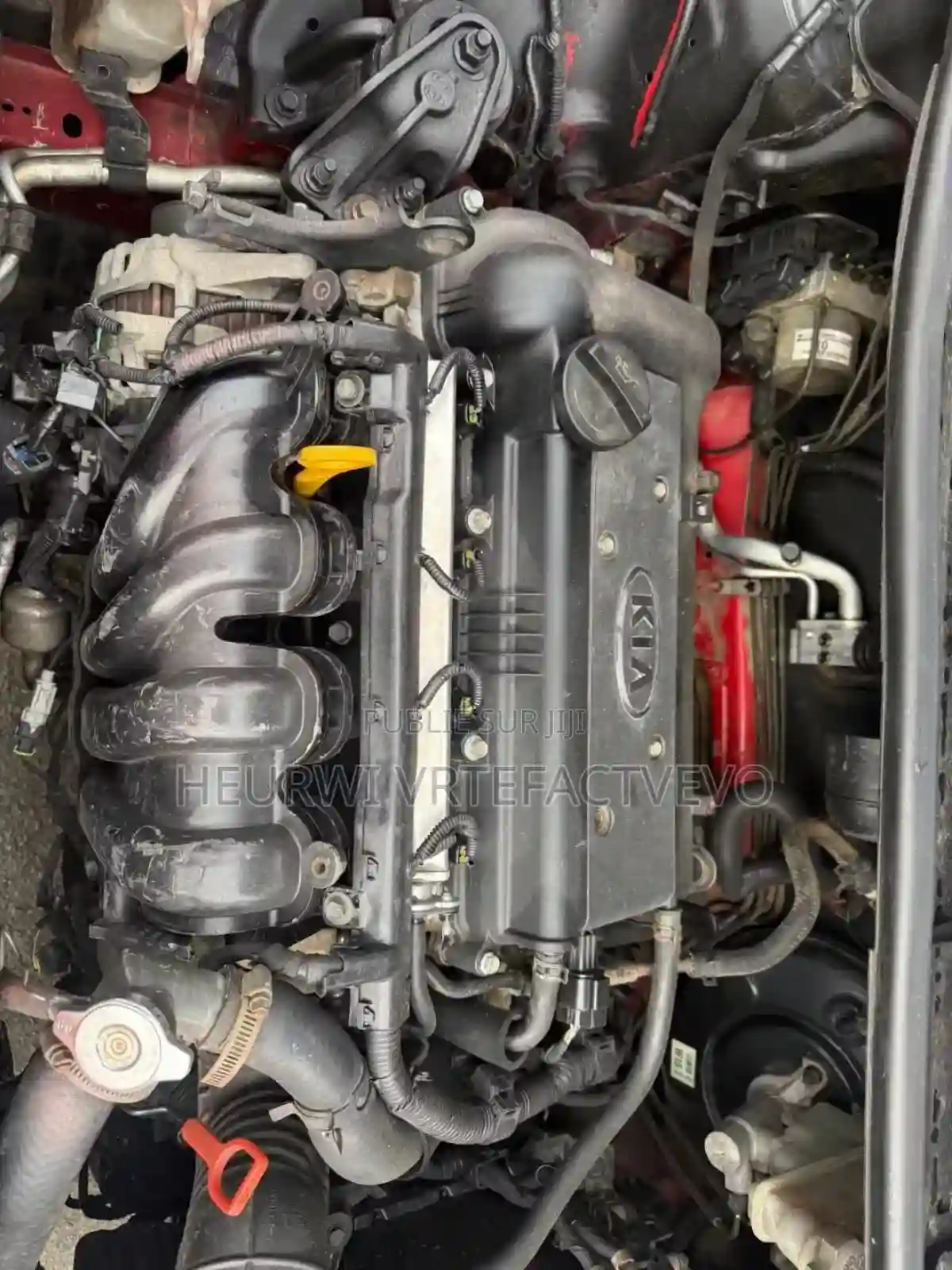 Kia Rio EX 4dr Sedan (16l 4cyl 6A) 2012 Rouge - Vue 6