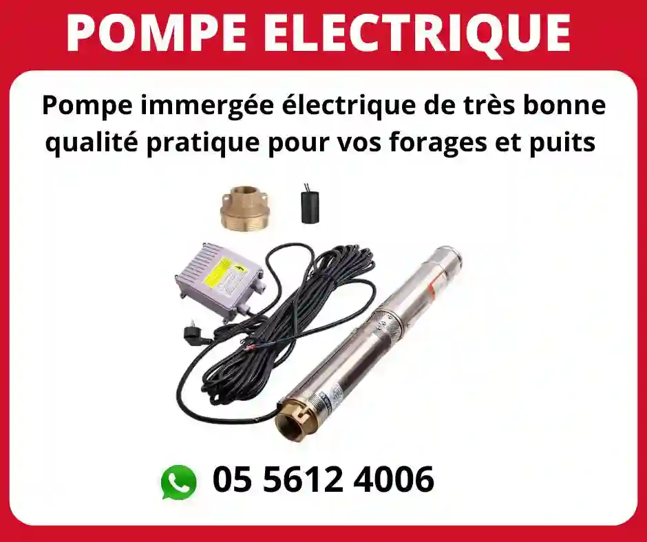 VENTE DE POMPE ELECTRIQUE IMMERGEE 220V