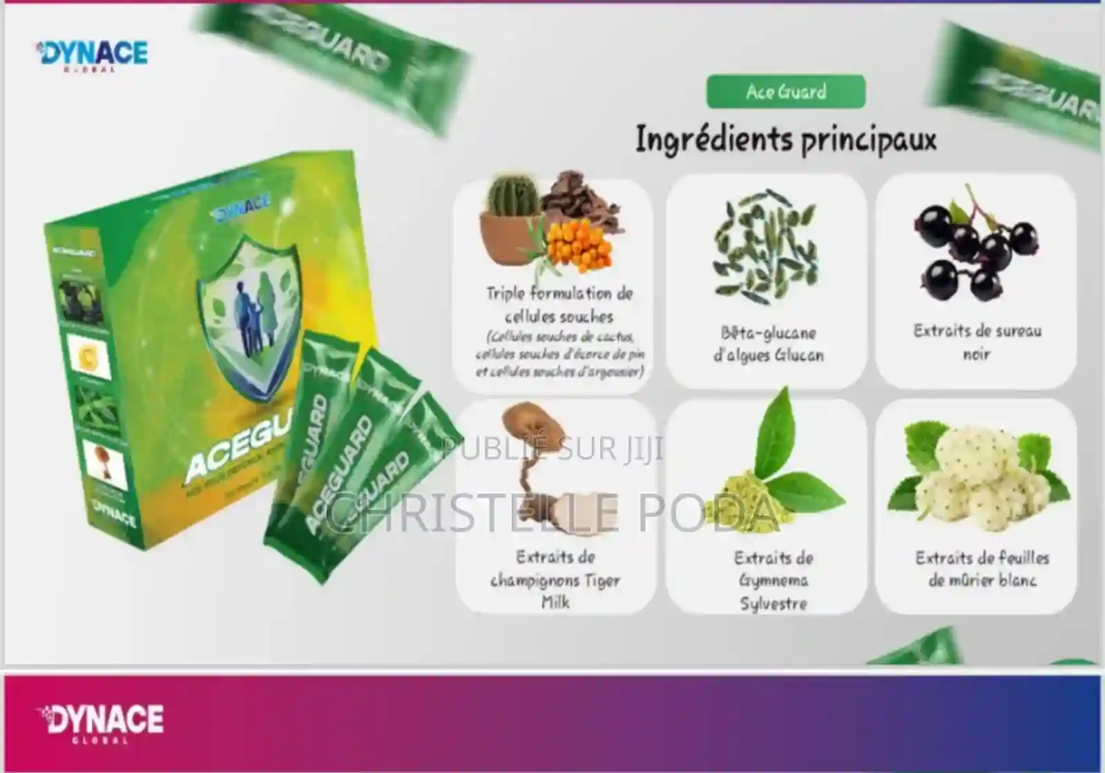 Aceguard Dynace Global - Vue 1